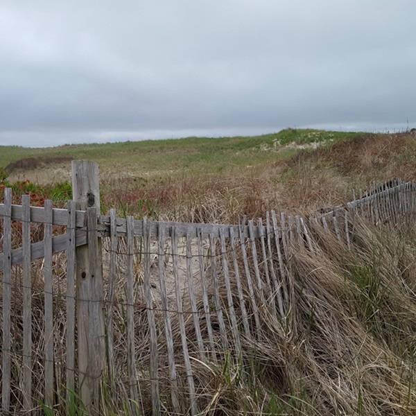 Cape Cod region offers an abundance of beauty, history, and activities for any kind of traveler. 