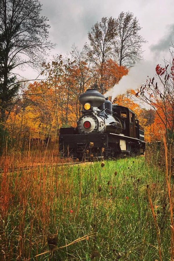 Hesston Steam Museum - Display Image