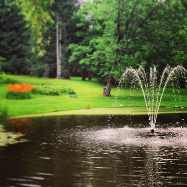 Skowhegan is known for its rural charm, as well as annual events like the Skowhegan Moose Festival, which celebrates the region's wildlife and natural beauty. 