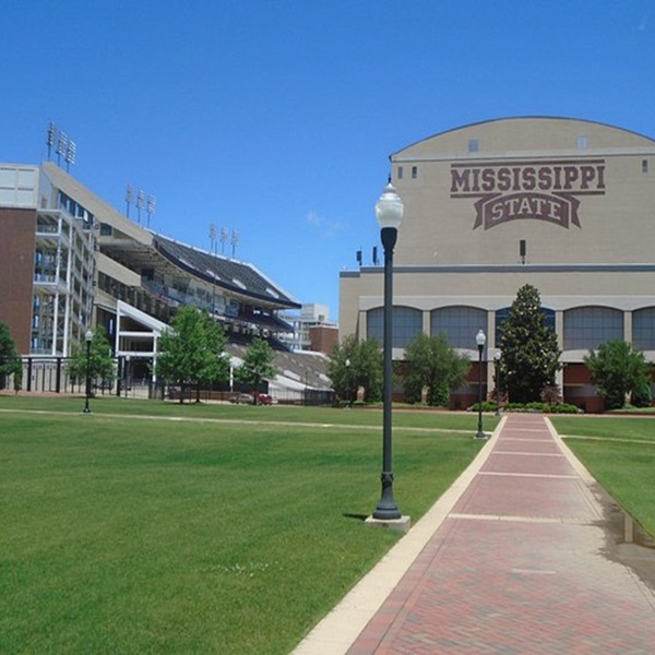 Visit Starkville - Webpage Image