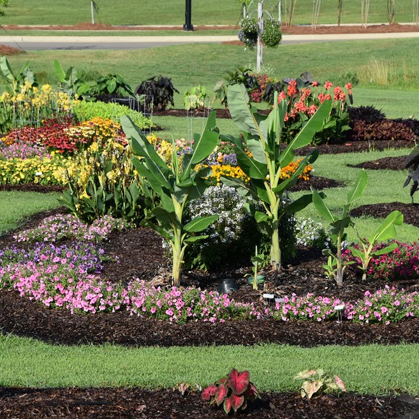 Visitors can compare plant varieties, note their performance, and discover new favorites to create their gardens. 