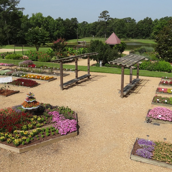 The Rose Garden offers hundreds of varieties of beautiful, thorny plants. 