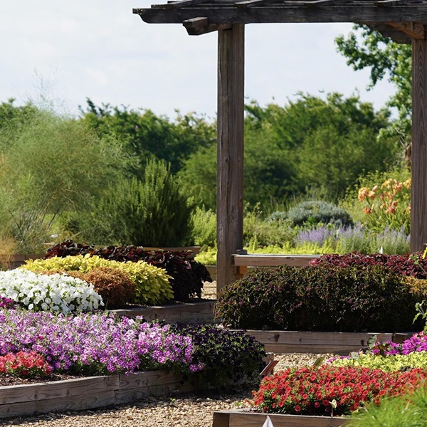 Visitors can learn about plant selection, gardening tips, and the latest trends in landscaping, from knowledge to enhance their green oasis. 