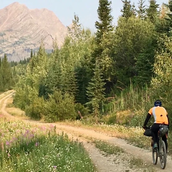As cyclists approach Helena, they'll pass through the Helena National Forest, which offers scenic beauty and outdoor recreation opportunities. 