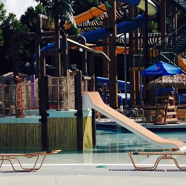 The park boasts wide walkways, ramps, and accessible restrooms, making it easier for visitors with disabilities to navigate and experience the park's offerings. 