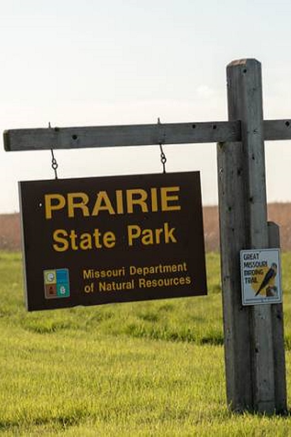 Prairie State Park Campground - Display Image