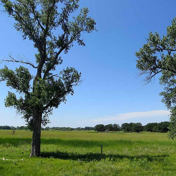 North Country Trail: Sheyenne National Grassland West Trailhead    - Webpage Image