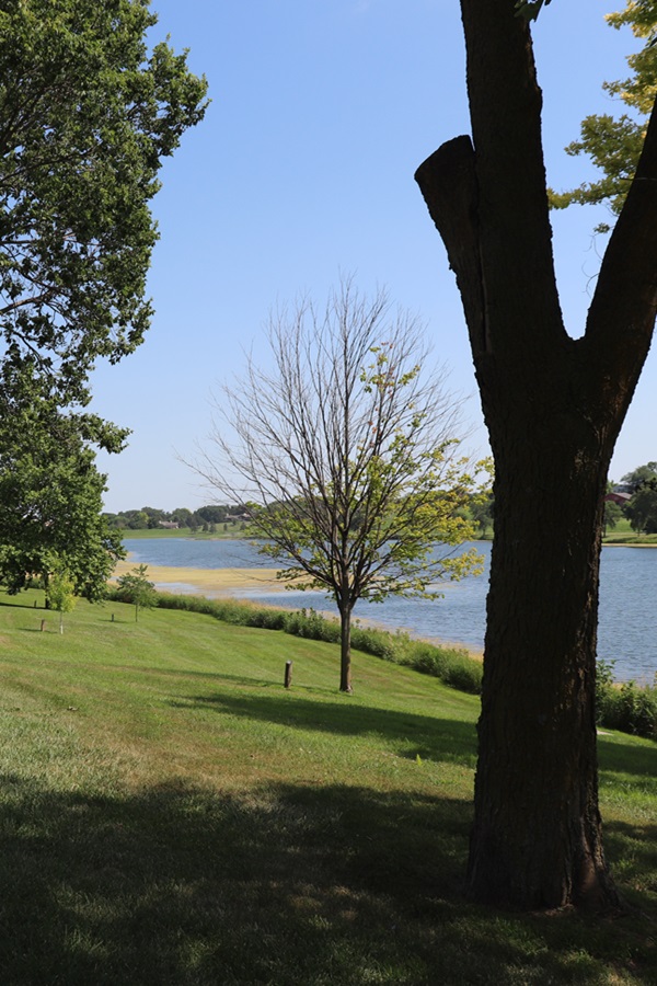 Norfolk Area Visitors Bureau - Display Image