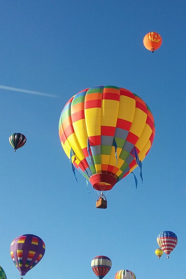 Carolina Balloon Fest - Display Image