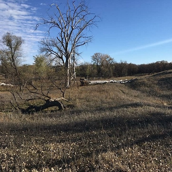 Sheyenne National Grassland comprises 70,180 acres of public land amid almost as much privately held land. 
