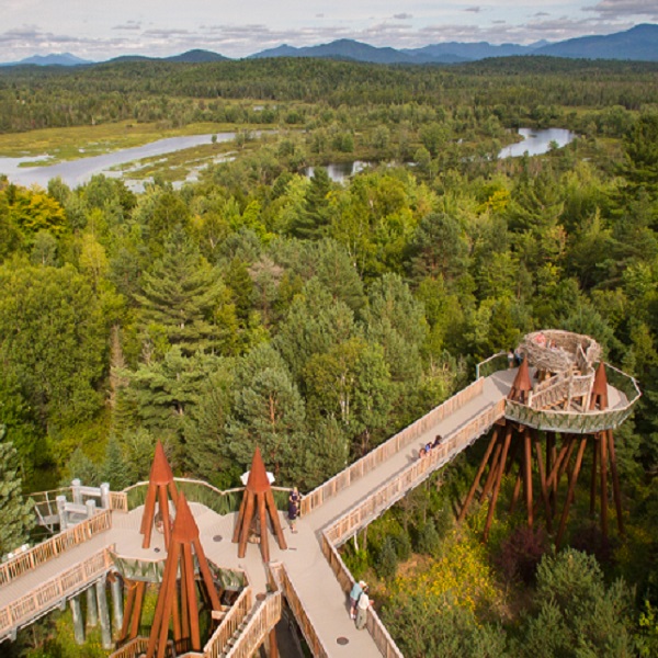 The Wild Center has a 54,000-square-foot indoor space swimming with live exhibits, as well as the Wild Walk that takes visitors up a trail of bridges to the treetops.