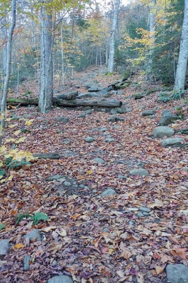 Ampersand Mountain Trail - Display Image