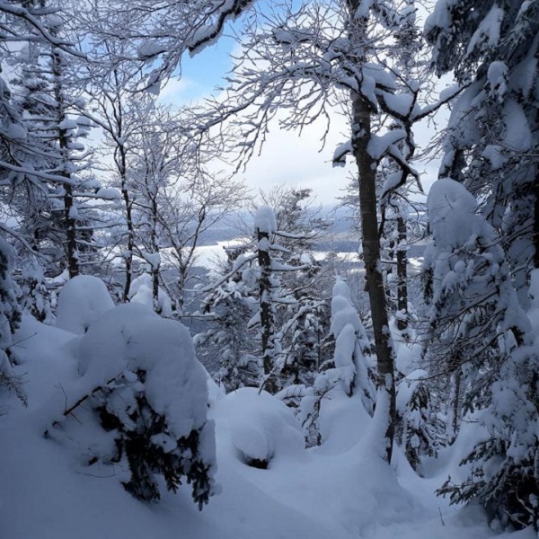 Saranac Lake