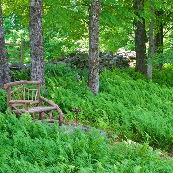 Artistic sculptures and installations are subtly woven throughout the gardens, creating a harmonious blend of nature and artistic expression.