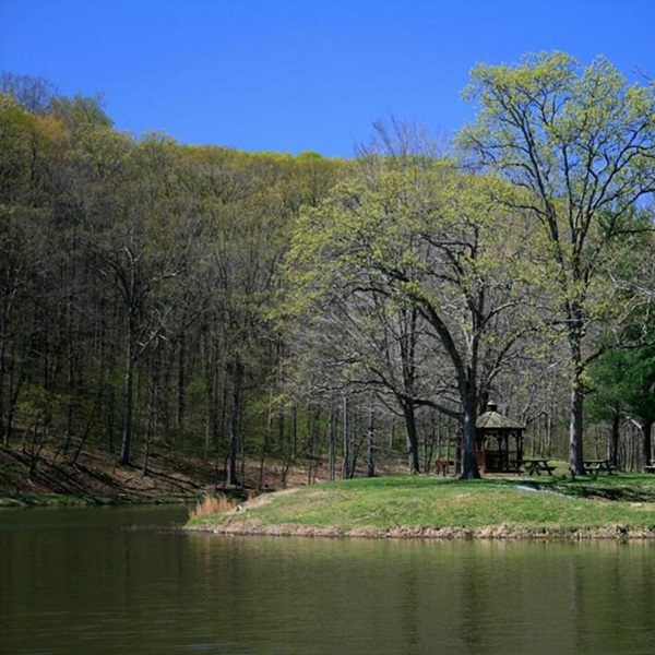 Waverly sits at the edge of the Pike State Forest, as well as other regional parks, offering a haven for nature lovers.