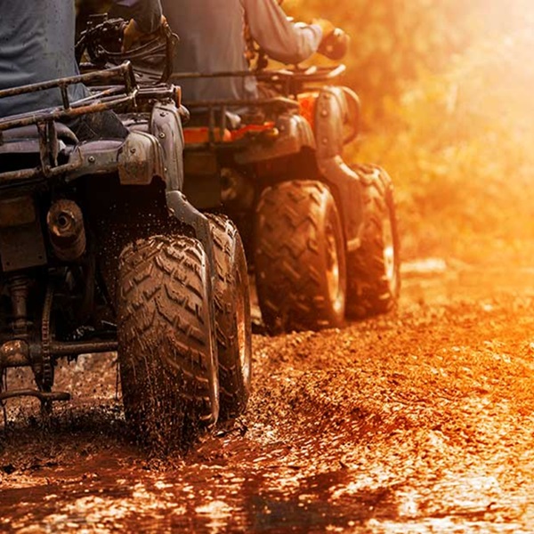 Beyond the thrill of navigating muddy trails and conquering challenging terrain, Pike State Forest APV Riding Park is a playground for adventure seekers.