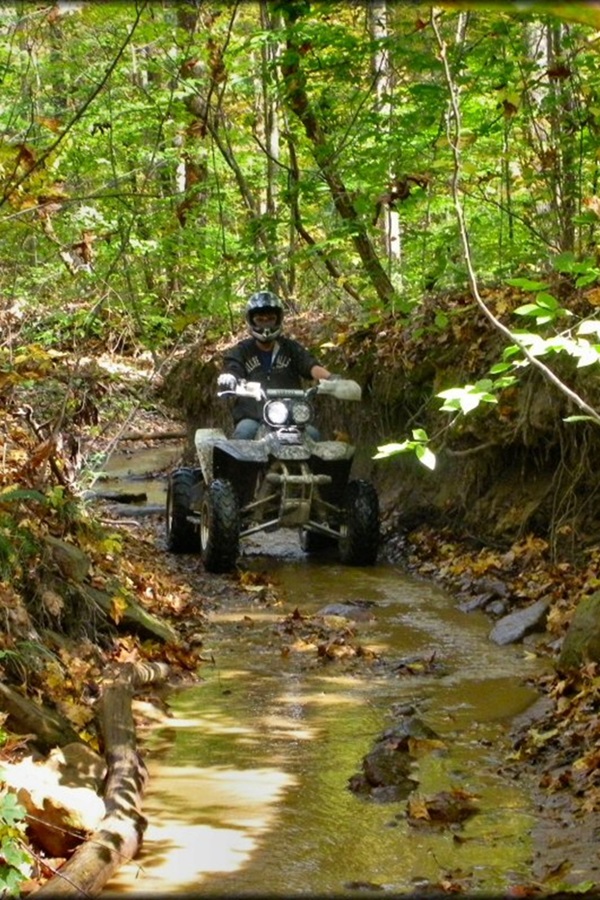 Pike State Forest APV Riding Park    - Display Image