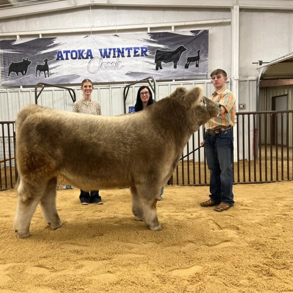 The Atoka County Fair provides a platform for youth development through organizations like 4-H and Future Farmers of America.