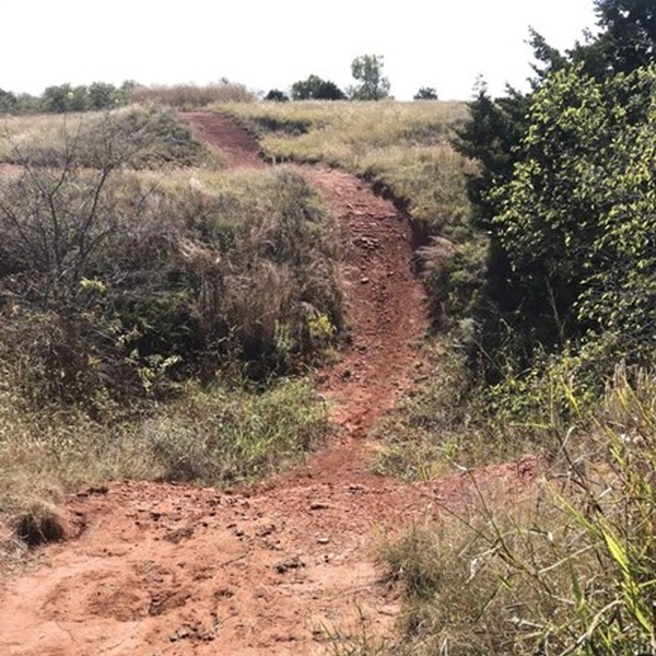 While the Elk City Lake trail is relatively flat in some sections, it also features challenging terrain with inclines and descents.