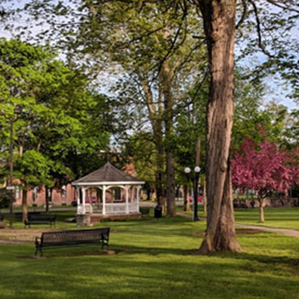 Angelica Park Circle features lush lawns, mature trees, and a picturesque gazebo, making it an ideal spot for outdoor recreation and relaxation.