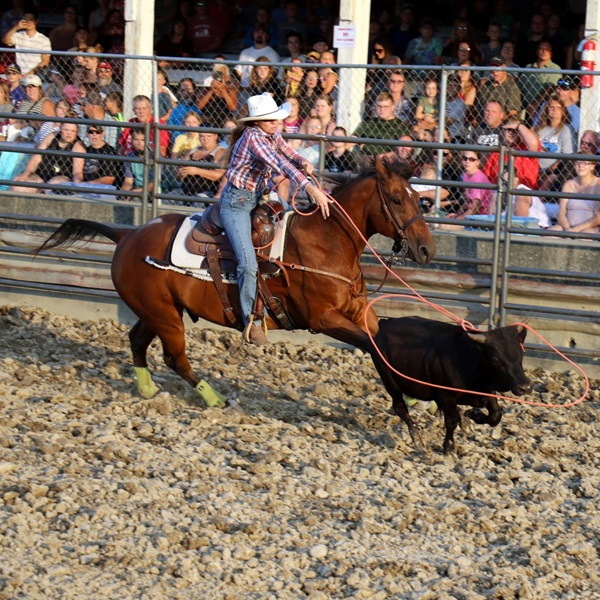 There are often grandstand events such as demolition derbies, tractor pulls, and horse shows that attract crowds and excitement.