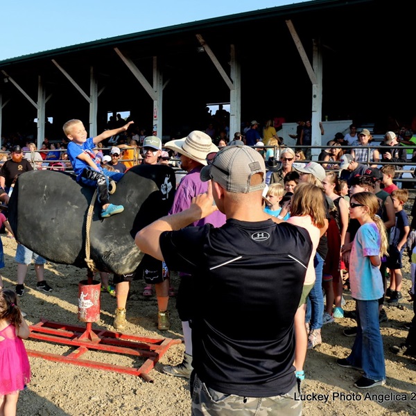 Young participants showcase their livestock, crafts, and skills, fostering leadership and responsibility.