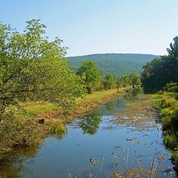 Today, parts of the Delaware and Hudson Canal remain as they once were along a 108-mile waterway that was built to carry coal from the mines near Honesdale to New York.