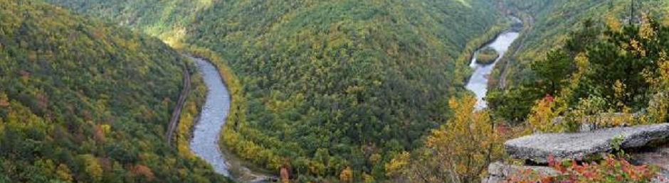 The Chamber of the Northern Poconos  - Header Image