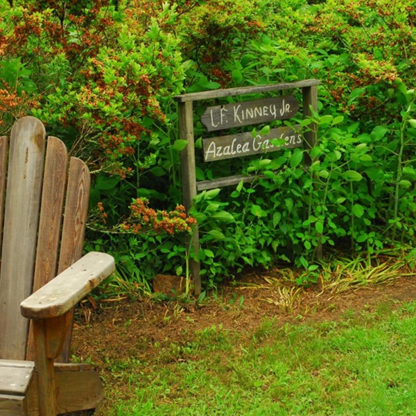 The Kinney Azalea Gardens offer a tranquil escape from the hustle and bustle of everyday life with winding paths that meander through the gardens.