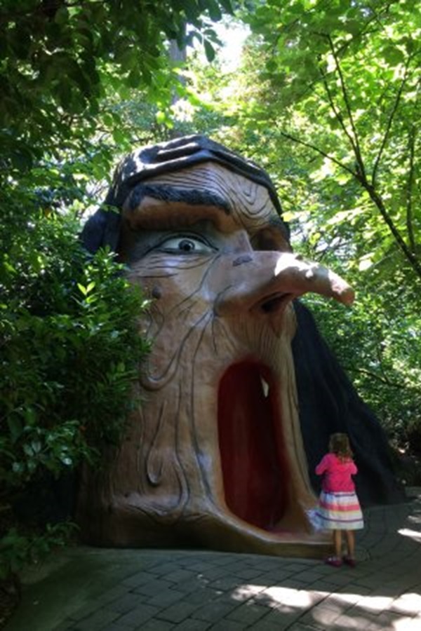 Enchanted Forest    - Display Image