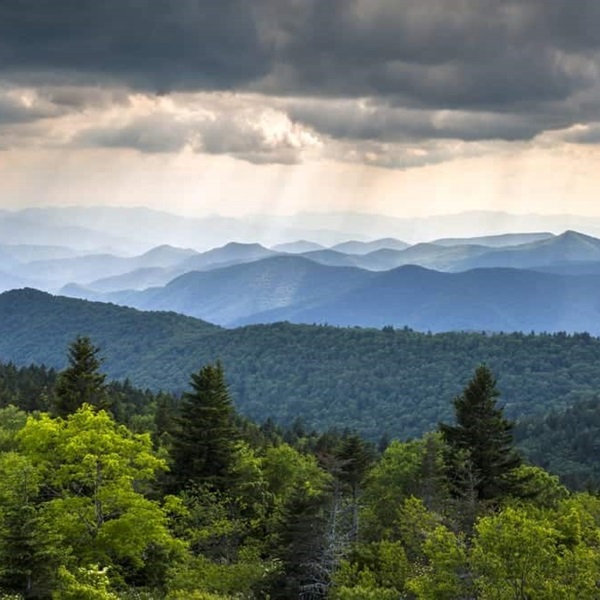 The park sits at the crossroads of several ecological regions, creating a diverse habitat for birds, such as lush hardwood forests, open meadows, rivers, and mountain peaks.