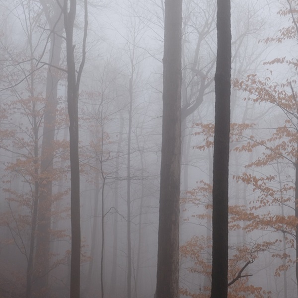 Great Smoky Mountains National Park - Webpage Image