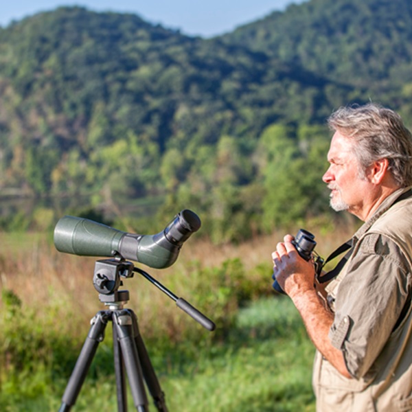 Suggested destination image for Great Smoky Mountains National Park