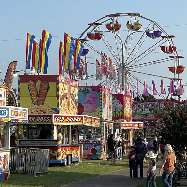 Obion County Fair - Webpage Image