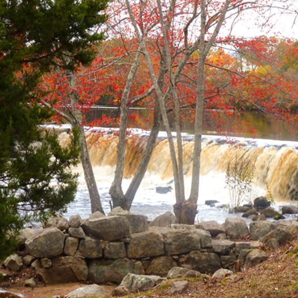 Visitors can take scenic routes through winding country roads, past historic farms, picturesque villages, and idyllic landscapes.