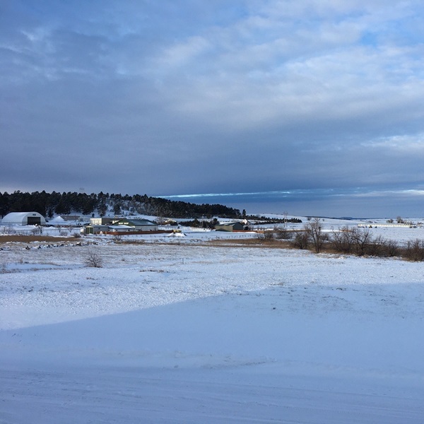 Belle Fourche has a rich agricultural heritage, with ranching and farming playing significant roles in the local economy.