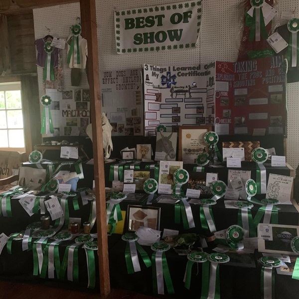 In addition to livestock and 4-H exhibits, the fair usually features a variety of other exhibits and displays.