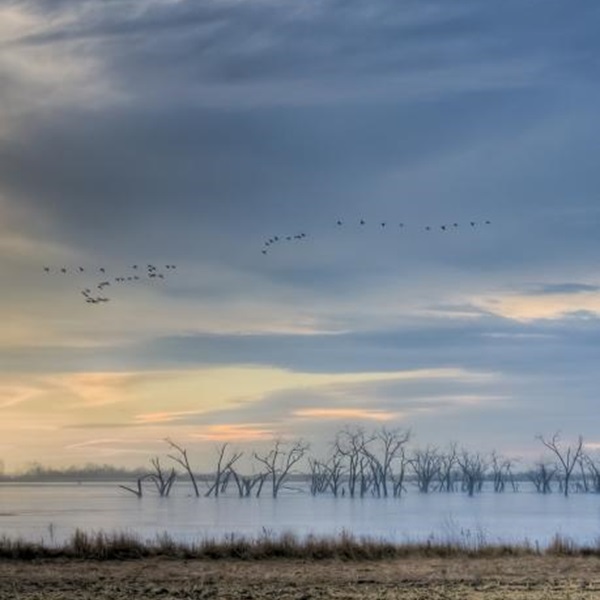 While the avian residents steal the show, Shadehill Reservoir Recreation Area also offers hiking, camping, hunting, and fishing.