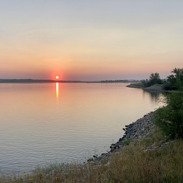 Designated birding trails wind through prime habitats, offering excellent vantage points for observation.