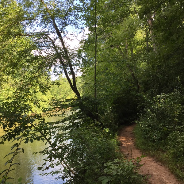 Hike or bike along the Bull-Run Occoquan Trail, a scenic path amidst rolling hills and lush forests. 