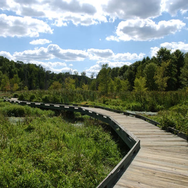 Designated trails meander through prime habitats, offering excellent vantage points for observation. 