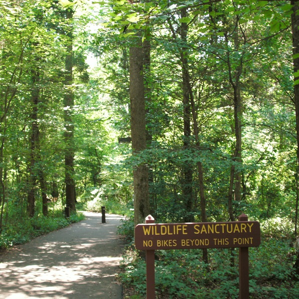 Interpretive signs educate visitors about the different bird species and their roles in the ecosystem. 