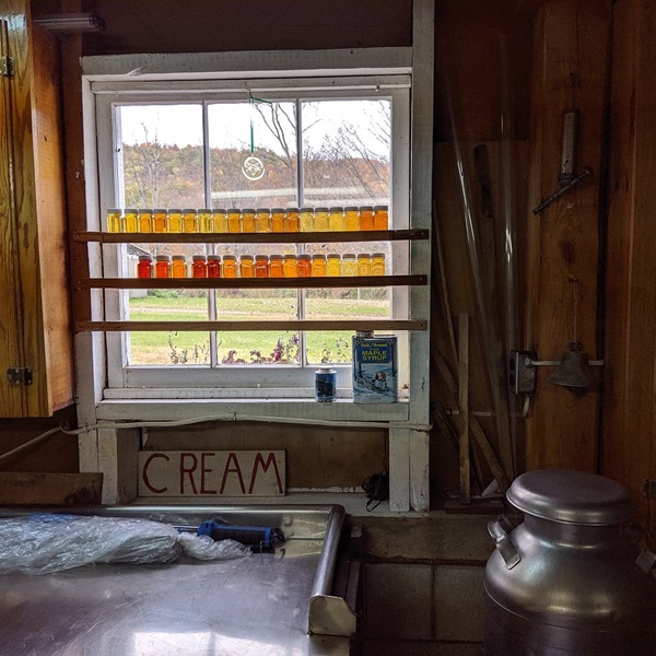 Savor the flavors of authentic Vermont cuisine at cozy local restaurants, and indulge in fresh maple syrup. 
