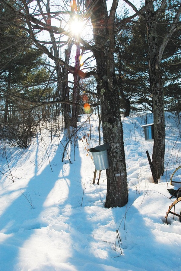 Poultney Area Chamber of Commerce - Display Image