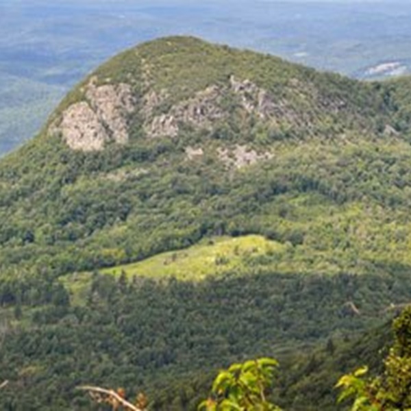 The longer Birdseye Mountain Trail provides challenging hikes with magnificent views and hidden birding spots. 