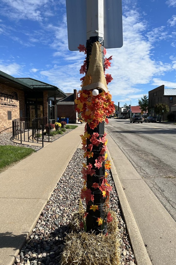 Coon Valley Business Association - Display Image