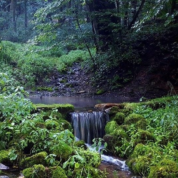 Norskedalen isn't just another nature preserve but a portal to the past, a celebration of Norwegian heritage, and a haven for outdoor enthusiasts. 