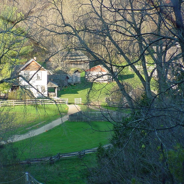 Step back in time at the Bekkum Farmstead, a living history museum showcasing daily life on a typical 19th-century Norwegian farm. 