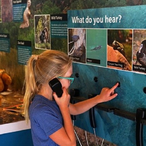 Explore. Learn. Protect. This is the motto of the Junior Ranger program. A trip to Zion offers many opportunities for families to explore, learn, and connect with the park. 