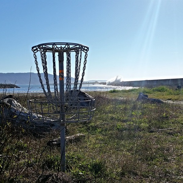 Beachfront Park features a disc golf course that winds through the park's scenic grounds, offering players a challenging and enjoyable playing experience. 